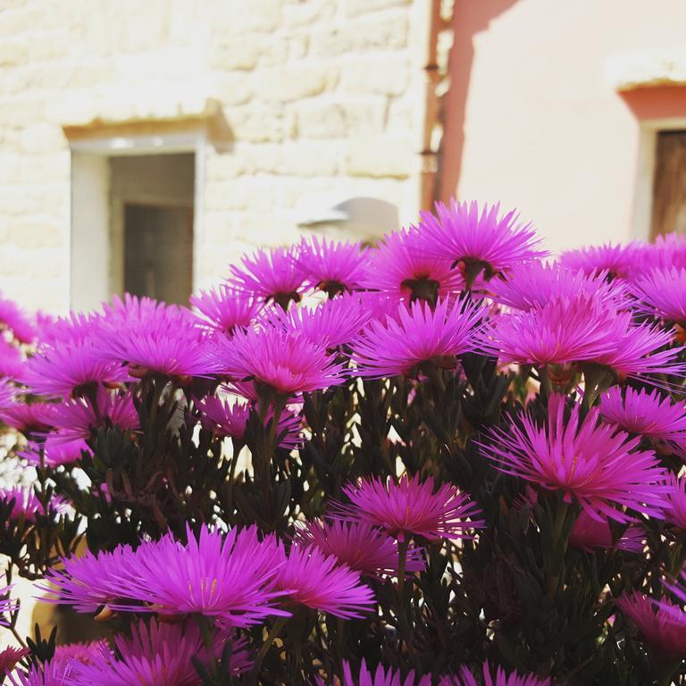 B&B Cinisi Vacanze Exteriér fotografie